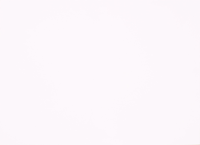 FENIX 0030 BIANCO ALASKA